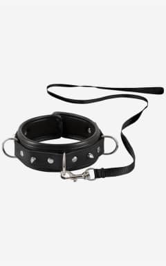 Alle Collar With Leash Men